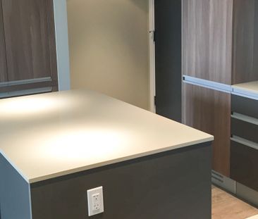 1 Bedroom Condo For Rent In East Village | Underground Parking | Ut... - Photo 2