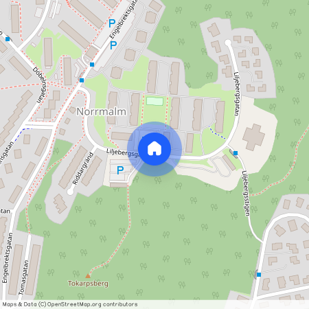 Liljebergsgatan, Borås