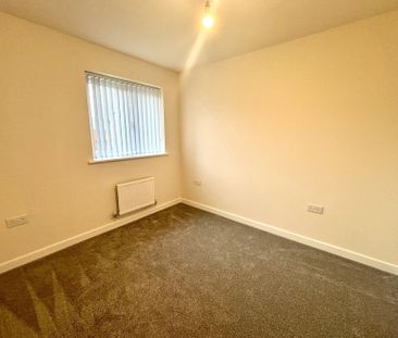 Carlen Drive - Photo 3