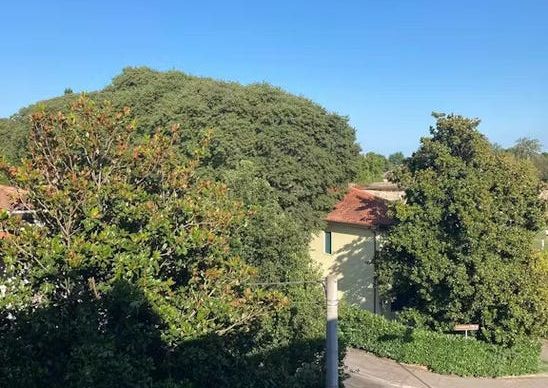 Vicolo Pastori, Padova, Veneto 35131