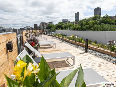 175 rue St-Vallier Est, Saint-Roch à louer - Photo 5