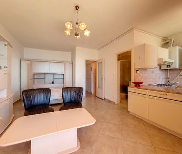 Location Appartement 1 pièce Meublé 31m² AJACCIO 20000 - Photo 3