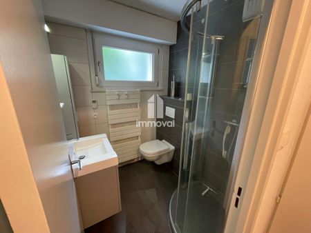 Location Appartement 2 pièces Meublé 44m² STRASBOURG 67000 - Photo 5