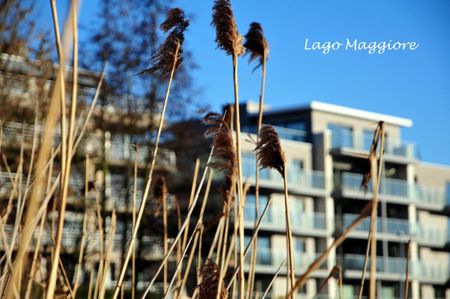 TE HUUR RESIDENTIE LAGO MAGGIORE TE WERVIK - Photo 3