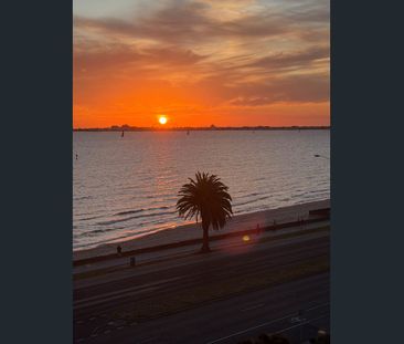 Bayside Brilliance with Breathtaking Bay & City Views - FULLY FURNI... - Photo 4