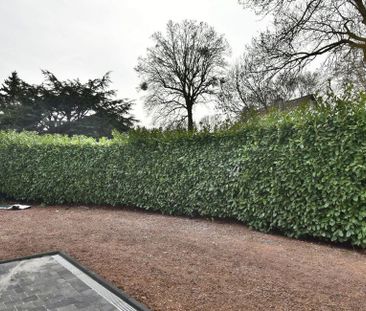 Woning te huur in Overijse voor € 1.550 met 4 slaapkamers - Photo 6