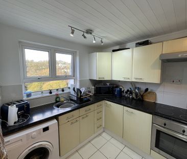 6 Shelburne Court - Photo 5