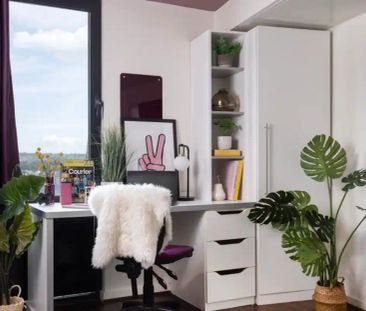 Large Highest Double Studio - Photo 3