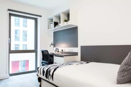 Silver Studio - Standard View | Lower Level - Photo 4