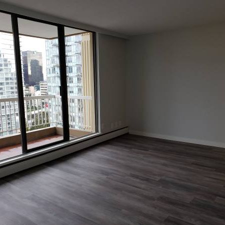 NEWLY RENOVATED 2 Bedroom + 1 Bath! Spacious and bright with VIEWS!!! - Photo 3