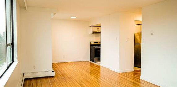 1 Bedrooms Available October 1st at Queen Anne Place - Pet Friendly! - Photo 2