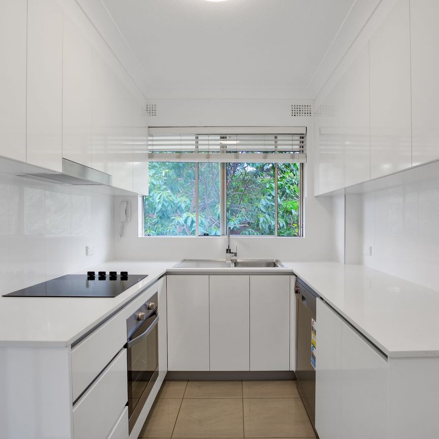 14/115-117 Ben Boyd Road, Neutral Bay. - Photo 1