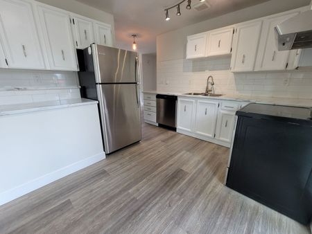Beautifully Renovated 2-Bedroom Home - Photo 4