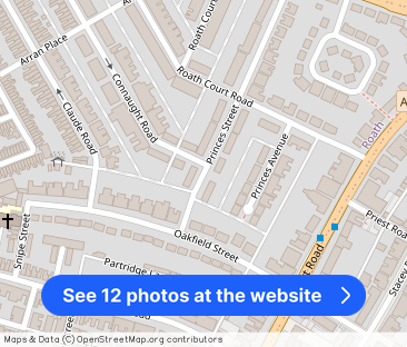 Princes Street, Roath - Photo 1