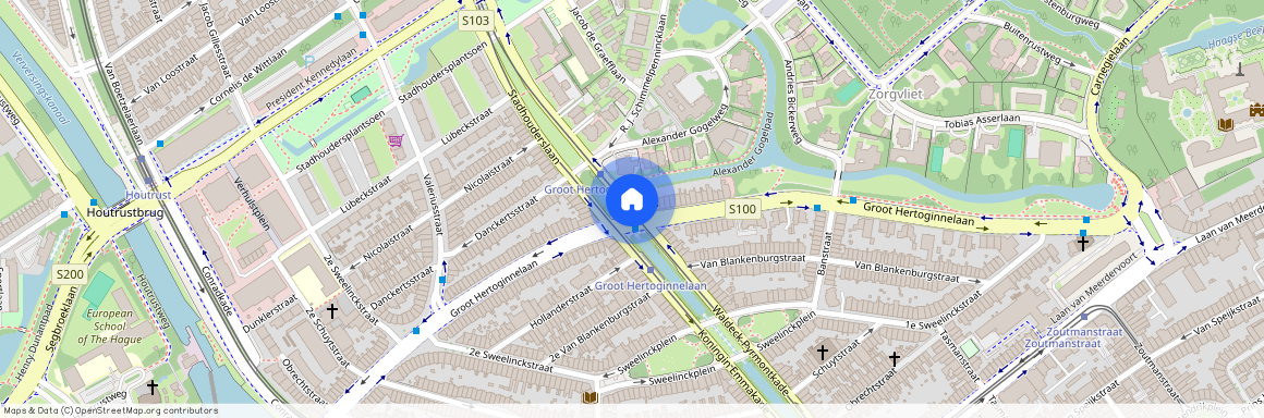 Stadhouderslaan, 2517HV Den haag