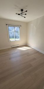Grand 6 1/2 rénové - 4 chambres - Hochelaga-Maisonneuve - Photo 3