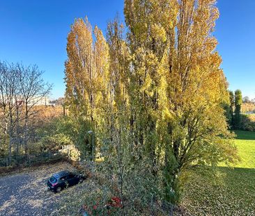 Location Appartement 3 pièces 61m² LA MADELEINE 59110 - Photo 6