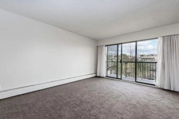 Maple Manor Apartments — 2 Bedroom - Photo 1