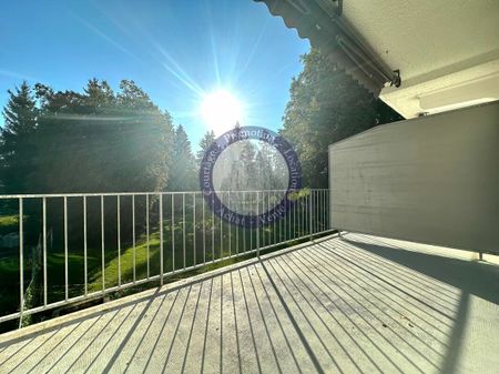 LUMINEUX AVEC GRAND BALCON-TERRASSE - Foto 5