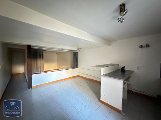 Location Appartement 1 pièce 41m² ST LAURENT SUR SAONE 01750 - Photo 1