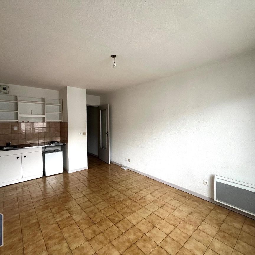 Location Appartement 1 pièce 21m² GRENOBLE 38000 - Photo 1
