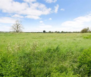 3 bedroom detached bungalow to rent - Photo 6