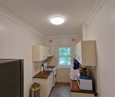 Paddington - Photo 3