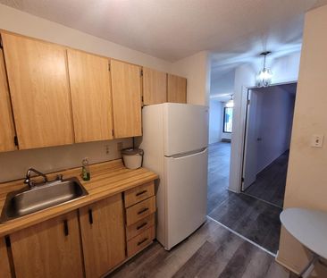 14 Rue Des Flandres (Gatineau) Beau Logement De 1 Cc - Photo 1