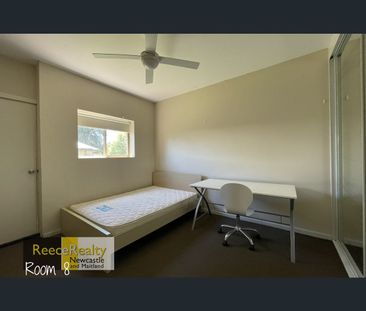 18 Sunset Boulevard, North Lambton, NSW 2299 - Photo 3