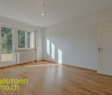 3.5 room apartment / 3.5 room apartment - Photo 1