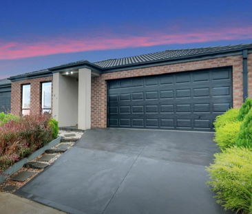 Spacious and Comfortable Family Home in Harkness - Photo 4