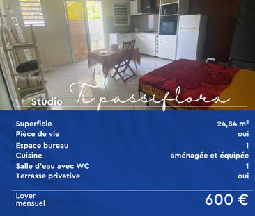 Location Appartement 1 pièce 24m² BASSE TERRE 97100 - Photo 4