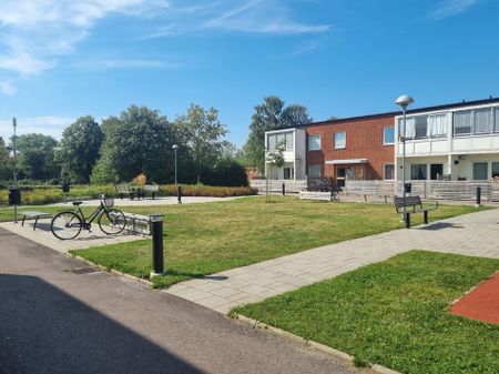 Malörtsvägen 12 A, Trelleborg Norr - Foto 4