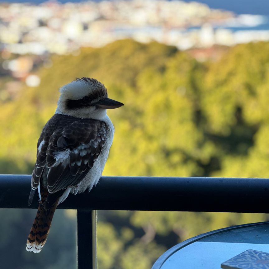 Bondi - Photo 1