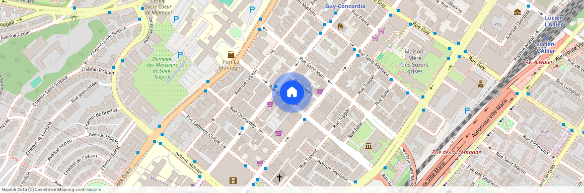 1445 Rue du Fort, 401, Montréal, QC H3H 2C2