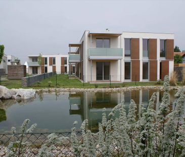 3133 Gemeinlebarn, Grißfeldstraße 23, 25 und 27 - Foto 1