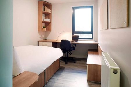 Flat share to rent - Photo 4