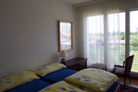 4-Zimmer-Attikawohnung, durchgehend, ruhig, Plan-les-Ouates - Photo 4