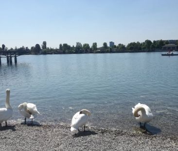 All-inklusive: spacious studio-apartment on higher floor for short ... - Foto 2