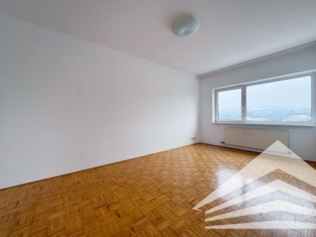 AM WINTERHAFEN: Helle 2 Zimmerwohnung mit Küche und Donaublick! - Foto 2