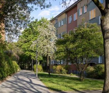 Gemütliche Einzimmerwohnung im Falkenhagener Feld - Photo 1