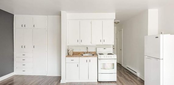 1 CH - 1 SDB - Montréal - $1,095 /mo - Photo 2