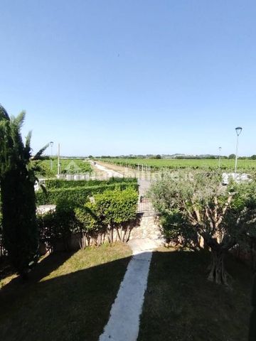 Quadrilocale ottimo stato, su più livelli, Arbizzano-santa Maria, Negrar di Valpolicella - Photo 4