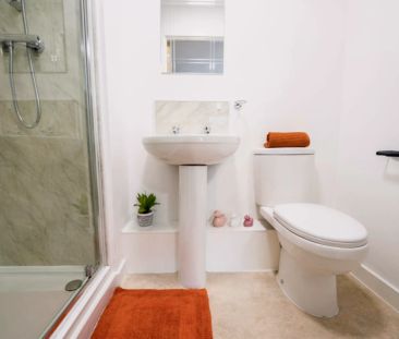 Premium Studio PLUS - Photo 4