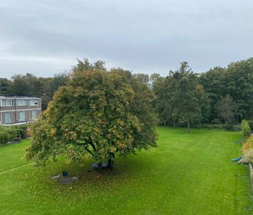 Appartement te huur: Bernard Loderstraat 157 1063 PG Amsterdam - Foto 2