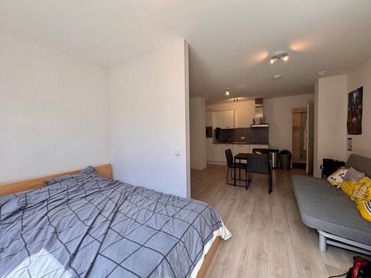 6221VX, Maastricht, Theodoor Schaepkensstraat, 11 - Photo 1