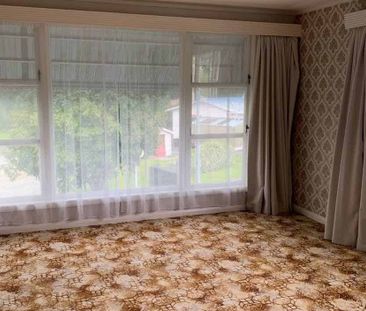 Four Bedroom House - Paeroa - Photo 1