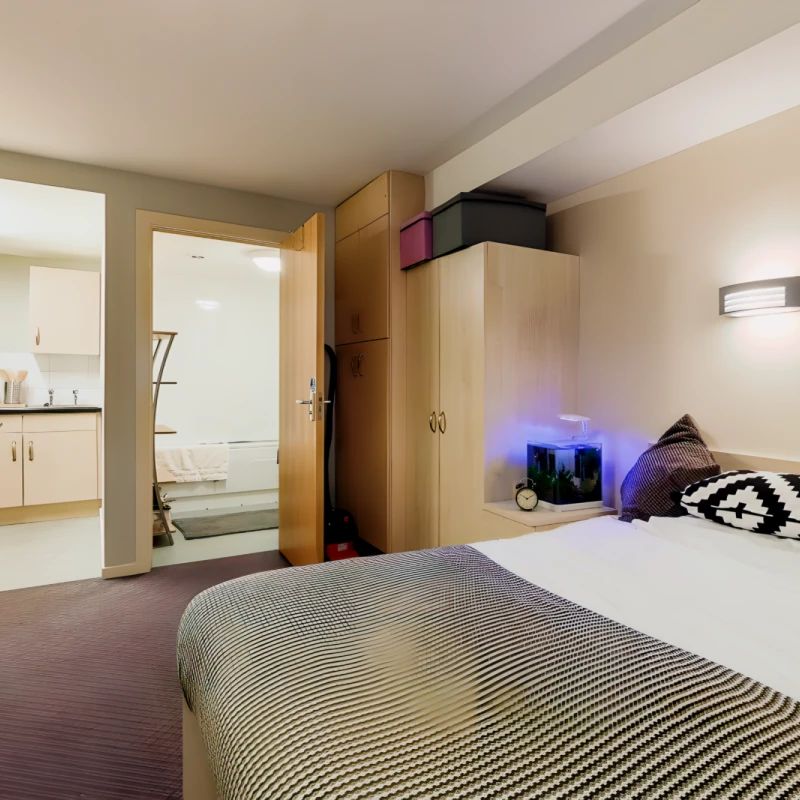 Studio – Gold - Photo 1