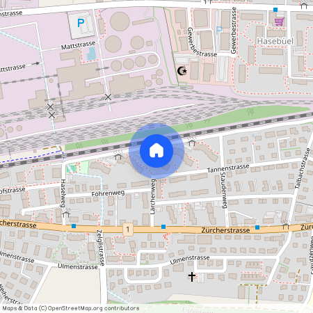 Wannenfeldstrasse 81, 8500 Frauenfeld