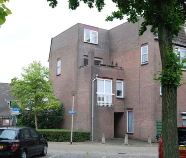 Goudmos 174 - Foto 2